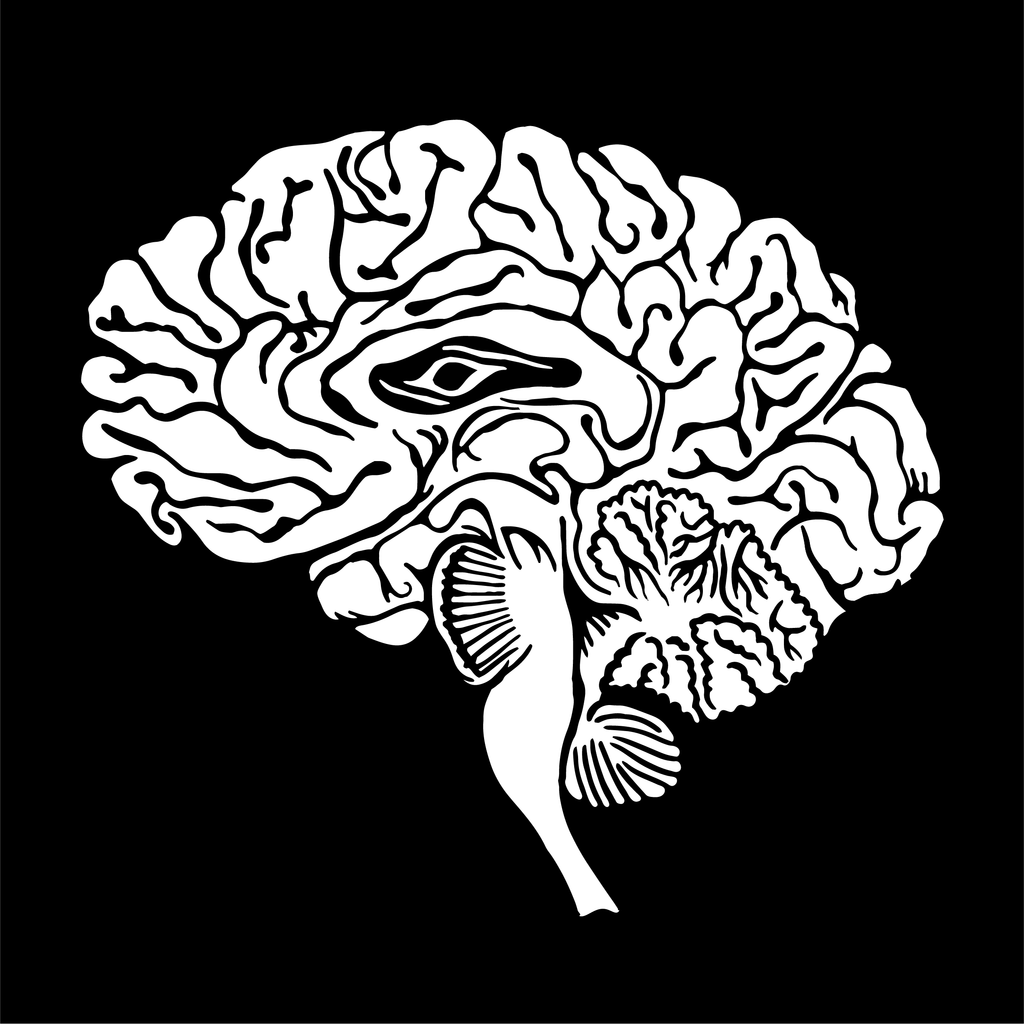 Brain (Regular T-shirt)