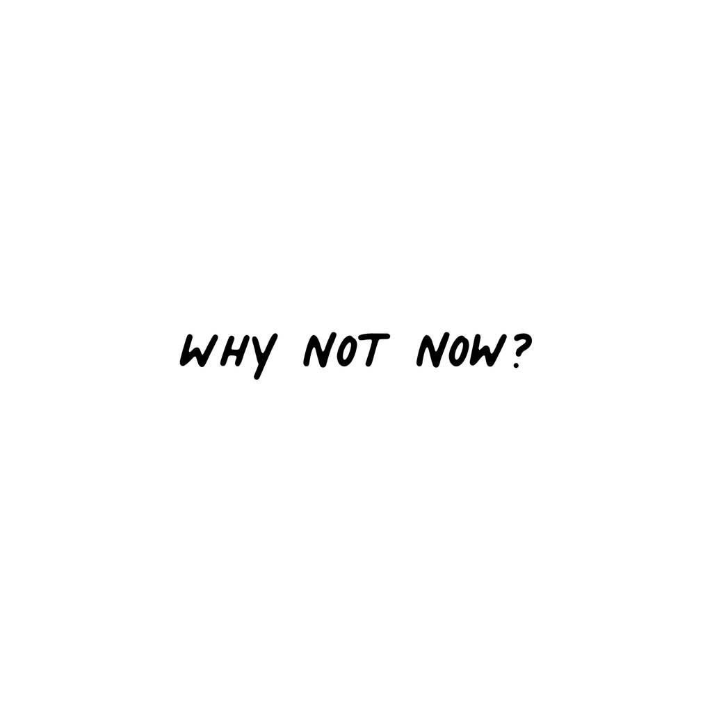Why not now (Hoodie)
